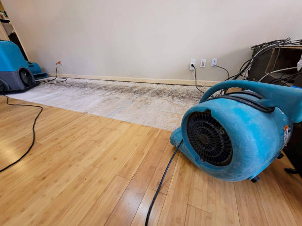 Professional Basement Flood Cleanup technician working in South Bend, TX